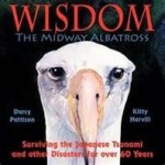 Wisdom by Darcy Pattison book cover