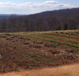 Garden at Monticello, March 2013