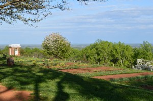 The view of the kitchen garden at Monticello