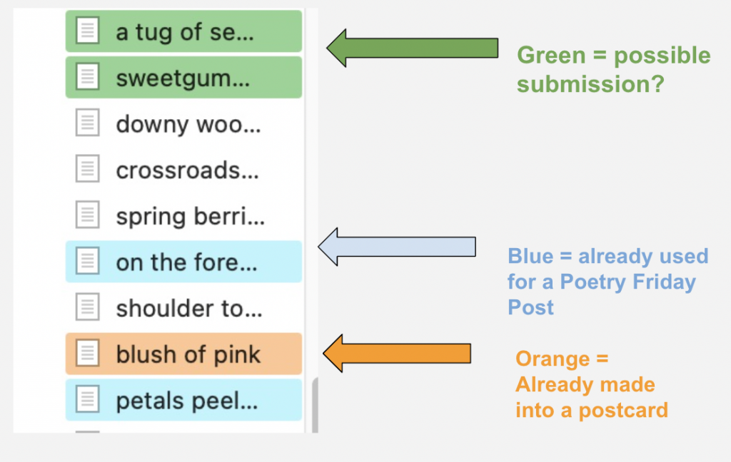 Screenshot of my Scrivener binder with color coding for poems I've published on Poetry Friday, poems I've put on postcards, and poems I'm considering submitting. 