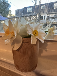 A picture of a bamboo cup in a windowsill filled with white daffodils with yellow centers. 